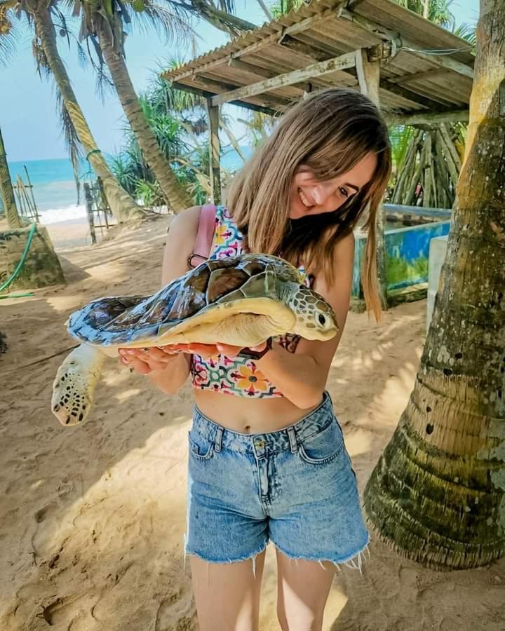 Ceylon Serenity Villas 贝鲁沃勒 外观 照片